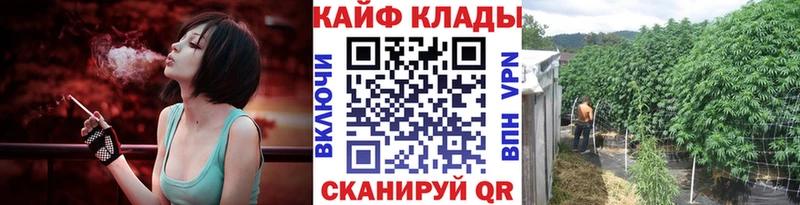 МЕФ Галич
